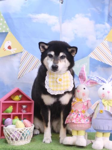 20240307ひめちゃん